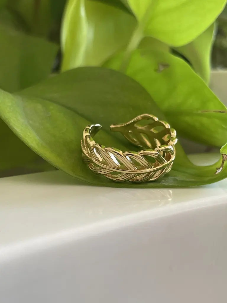 Promise Ring